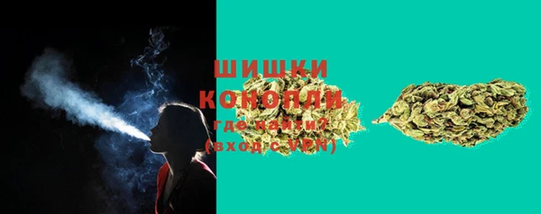 метадон Горнозаводск