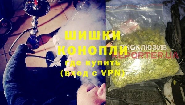 ГАЛЛЮЦИНОГЕННЫЕ ГРИБЫ Горно-Алтайск