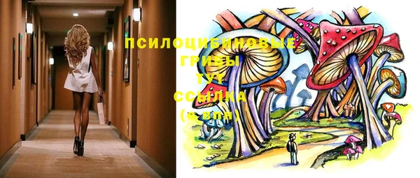 ГАЛЛЮЦИНОГЕННЫЕ ГРИБЫ Горно-Алтайск