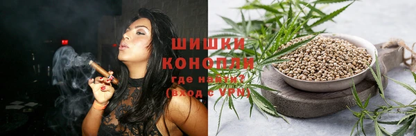 ГАЛЛЮЦИНОГЕННЫЕ ГРИБЫ Горно-Алтайск